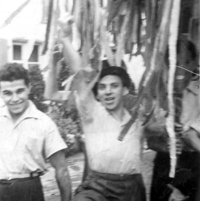 Bilder & Infos Hans E. Schwender